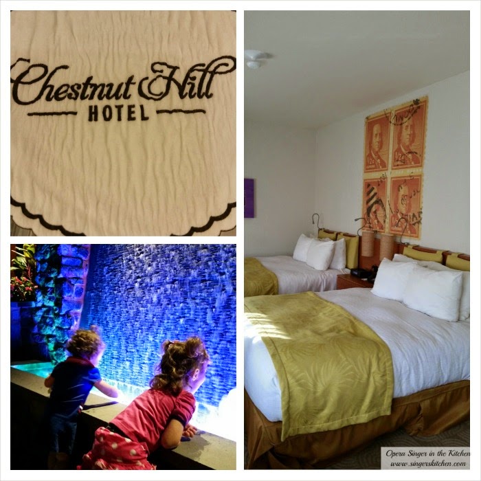 Stay in Chestnut Hill - Chestnut Hill