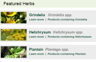 Meet Your Herbs 1