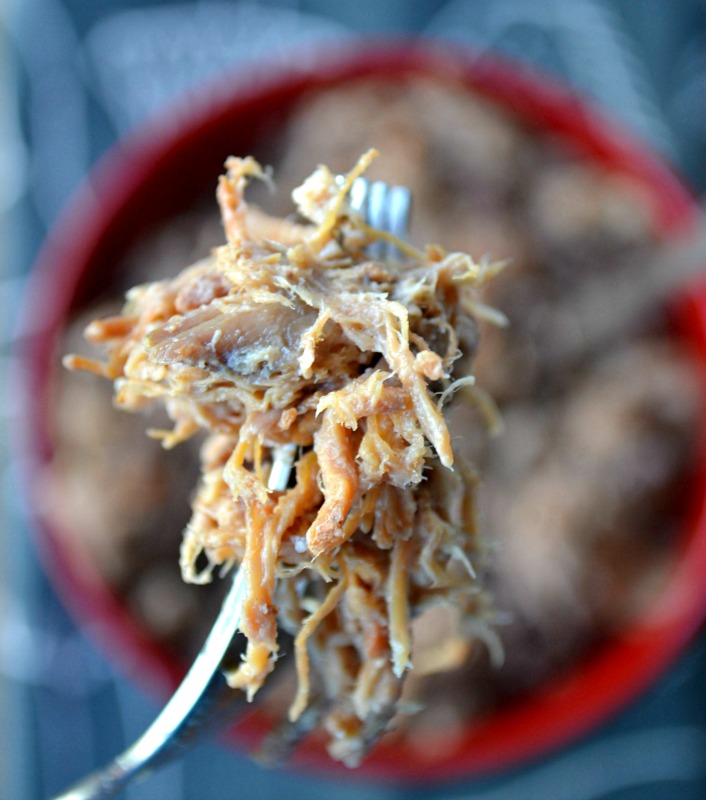 Close-up - The Tastiest and Easiest Pulled Pork